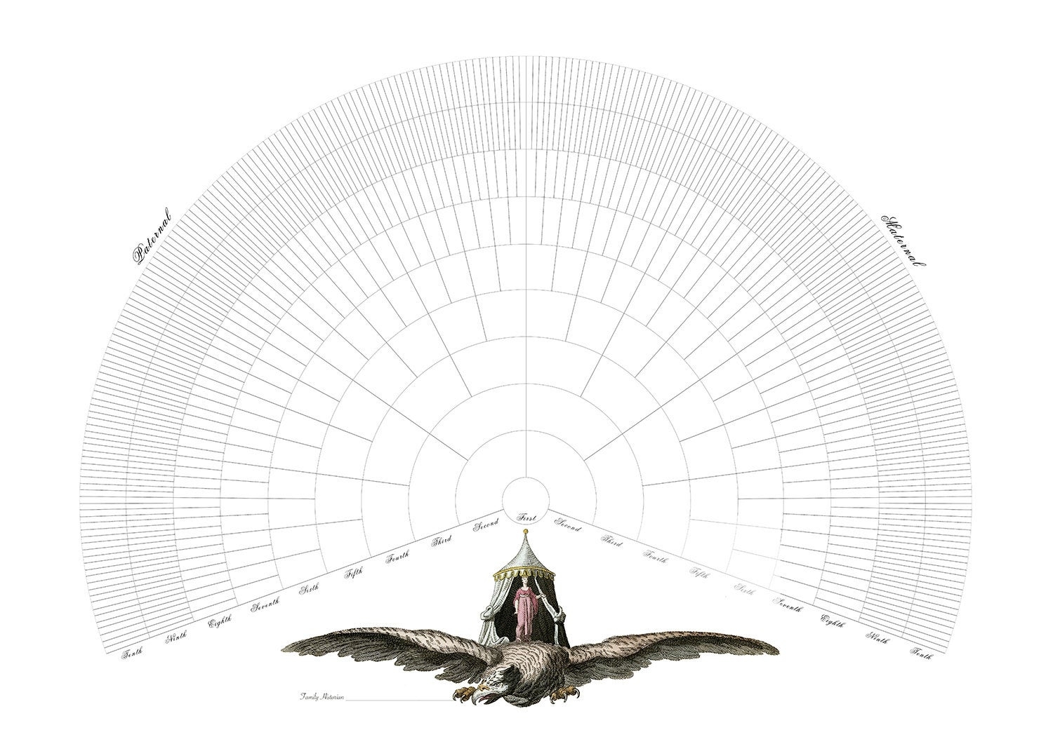 Printable Family Tree Chart 20 x 28 Whimsical 10 Generation 
